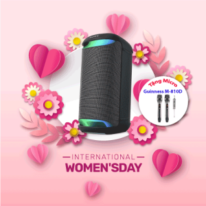 SRS-XV500 | Loa Bluetooth Sony